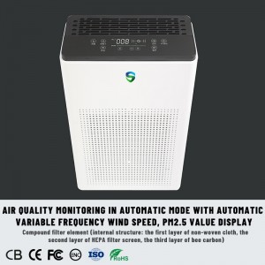 Podwójny oczyszczacz (aktywne oczyszczanie + pasywne oczyszczanie)