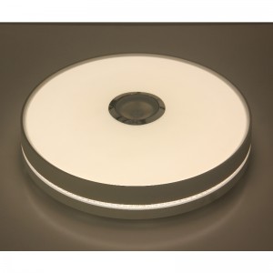 Światło sufitowe MU111