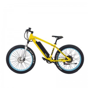 Nazwa produktu S1-X1