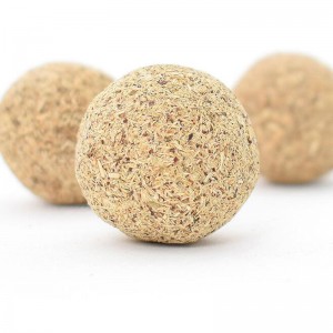 Poligonum cusspidatum.