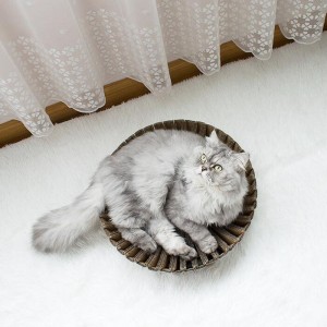 Słonecznikowy papier kot Gniazdo