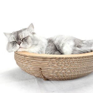 Papierowy kot bowl zarysowy gniazdo