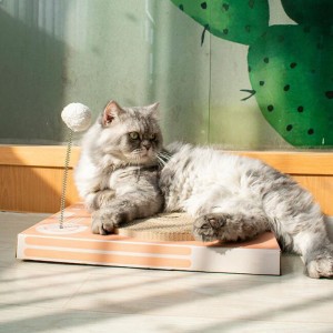 Garnitur zarządu do kotów