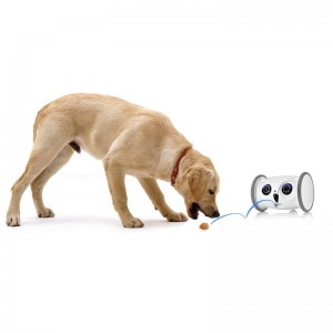 Smart Owl Robot Sitter