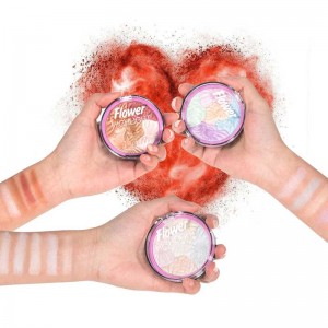 Wykraczarka do makijażu proszku Prywatna etykieta