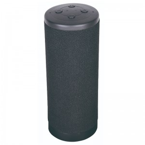 FB-BS8D532 Smart Voice Aktywowany głośnik Bluetooth