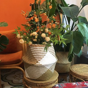 Tkany koszna brzuch morski