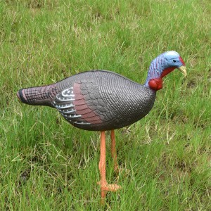 Elong Outdoor 41T3D2 3D Chicken Target Archery Strzelanie Odtwarzanie za pomocą celu