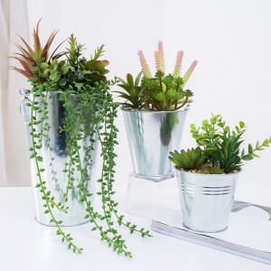 Factory Direct Supply Sztuczne soczyste w garnku