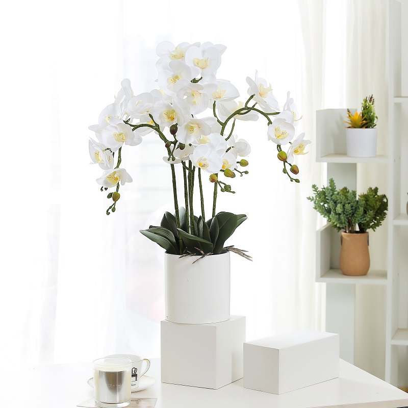 Gorący sprzedawaj prawdziwą dystansową sztuczną orchideą