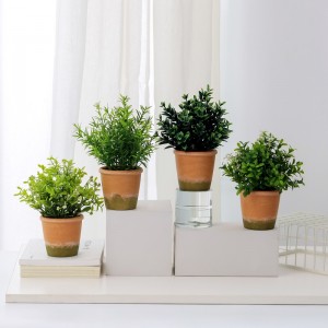 Doniczkowa sztuczna trawana sprzedaż