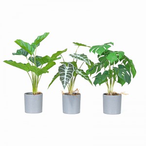 Fabryka bezpośrednio Dostarczanie gorącej sprzedaży Sztuczne zielone dekoracyjne z ładnym wyglądem i prawdziwym dotkniętym uczuciem