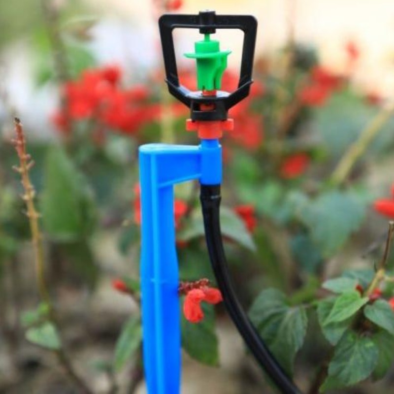 3 Gorące produkty sprzedażowe donawadniania przedszkola