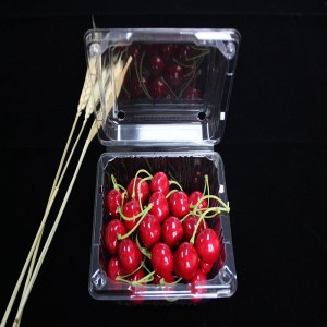 Opakowania na żywność typu clamshell