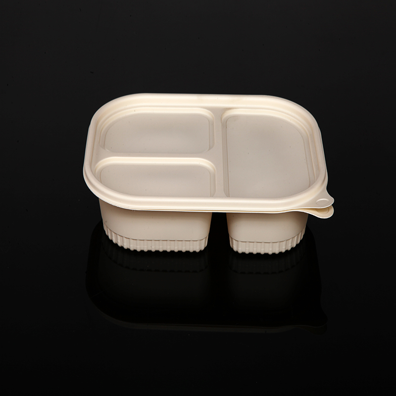 Biodegradowalne pudełkona lunch