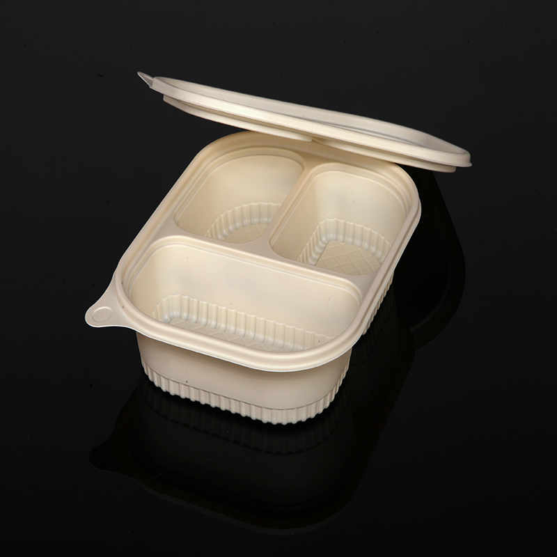 Biodegradowalne pudełkona lunch