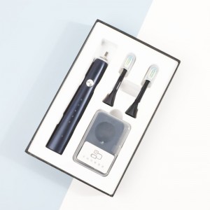 Haole OEM typu C Rechargeable Głowice zamienne Prywatna etykieta Automatyczna Sonic Electric Szczoteczka do zębów