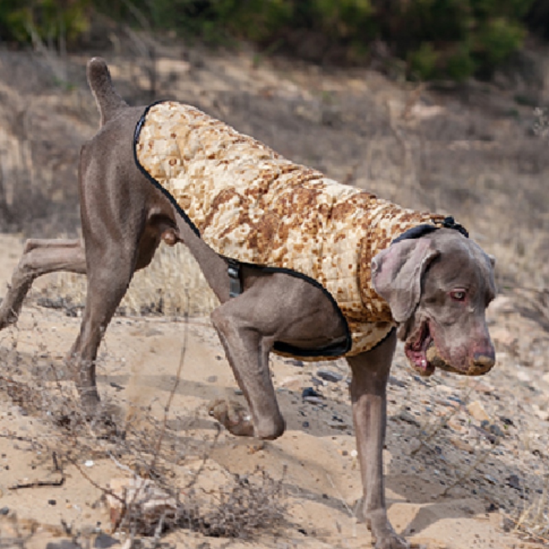 Amazon Gorąca Sprzedaż Nowe Odzież dla psów Dog Odzież Jesień I Zimowy Zagęszczony Elastyczne Sweter Sweter Pet Sweter