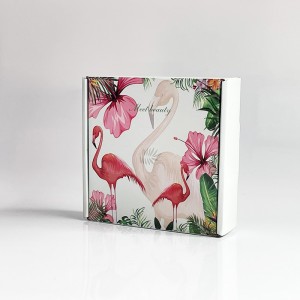 Kolorowy kolor pudełkana samolot calowe koszulka koszulka koszulka koszulka koszulka opakowań pudełko pudełko z falą samolotu