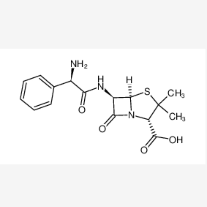 Ampicylin