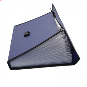 Rozszerzający się folder A4 Rozmiar liter PP Plastic 13 Pockets Multi Pocket Organizer Plik rozszerzalny