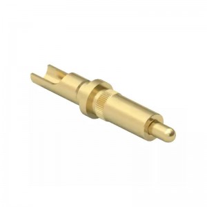 Dostosowany lut pubu pogo