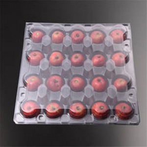 Przezroczyste plastikowe plastikowe pudełko owocowe CLAMSHell