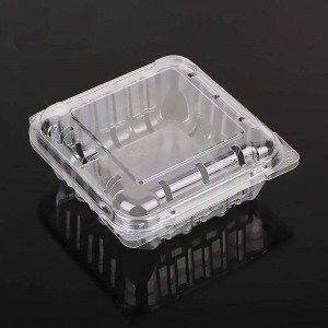 125G Hurtowe przezroczyste klapki Blueberry Clamshell Opakowanie owocowe pojemnikna owoc