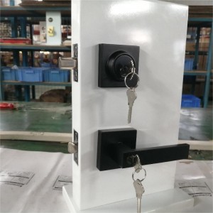 Kwadratowa dźwignia wejściowa z jednym cylindrowym zestawem deadbolt, klawisze zarówno zamek drzwi kombinacji, lokaliza