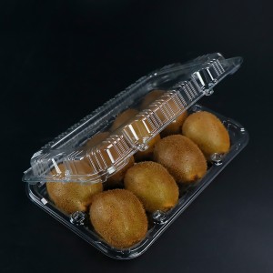 Kiwi Box (osiem kiwi) 245*160*55 mm HGF-018