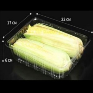 Brak pokrywy głębokiej tacy 220*170*60 mm HGF-2217