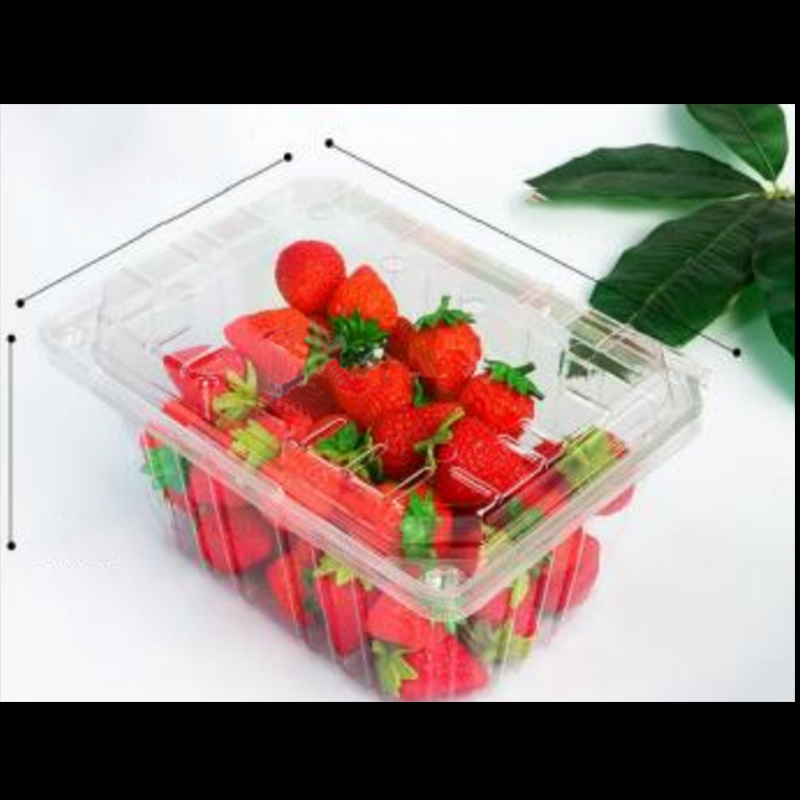 Pudełko owocowe z pokrywką 210*155*100 mm Hgf-950a