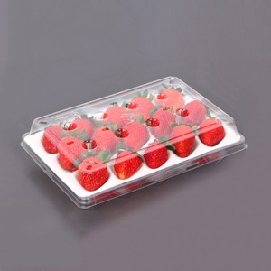Strawberry Box (15 truskawek) 225*120*40 mm cm-15