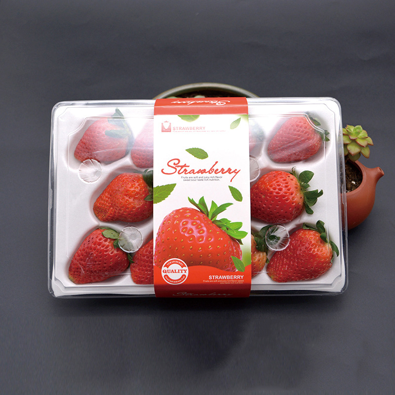 Strawberry Box (11 truskawek) 225*120*40 mm cm-11