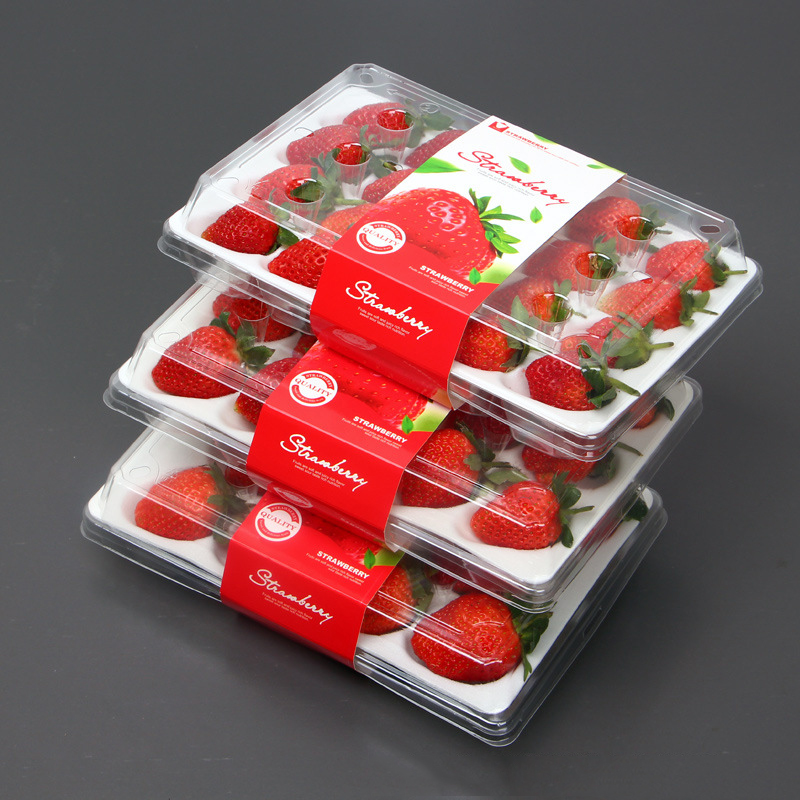 Strawberry Box (20 truskawek) 225*120*40 mm cm-20