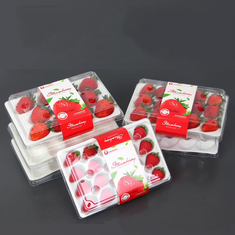 Strawberry Box (20 truskawek) 225*120*40 mm cm-20