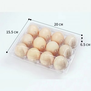 Taca jaja 200*155*65 mm 12 rowków 3*4