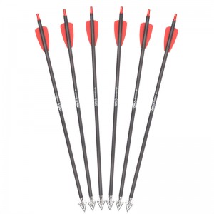 15 -calowe rx kuszki ze stalinierdzewnej Broadheads