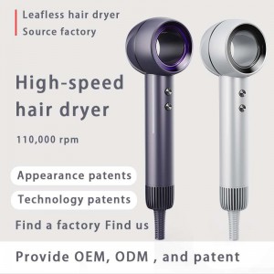 Duża prędkość jonowa suszarka do włosów Stała temperatura bezszczotkowy silnik pusta pusta pusta suszarka do włosów domowych