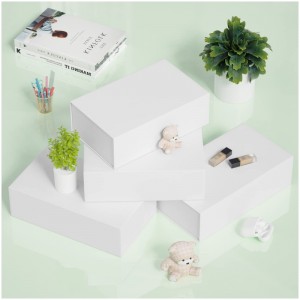 Dostosowane kolorowe pudełko prezentowe