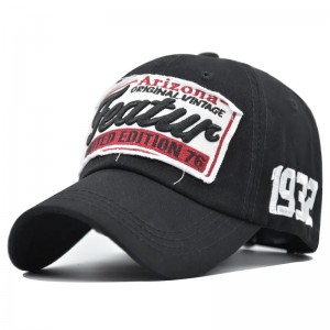 Regulowana bawełna unisex, dostosowana do bawełny 6 -paneli z czapkami baseballowymi zniestandardowym logo haftu