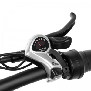 20 cali tłuszczowy rower elektryczny