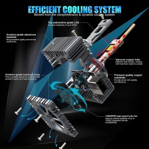 Żarówki reflektorów LED D1S/r