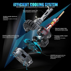 Żarówki reflektorów LED D2S/r