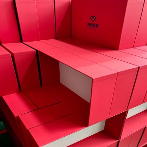 Maszyna do formowania krzywki serwomechanizmu DG-500A