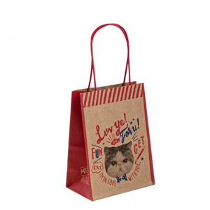 Recykling Brown Custom Paper Food Bag Zakupy Biała torba papierowa Kraft
