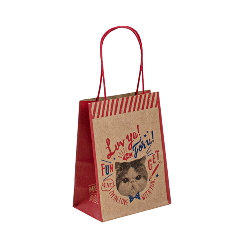 Recykling Brown Custom Paper Food Bag Zakupy Biała torba papierowa Kraft