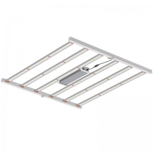 800W 4*4 stóp pełne spektrum ogrodnicze oprawy oświetleniowe dla szklarni wewnętrznej lub komercyjnego rosnącego LED światło uprawy