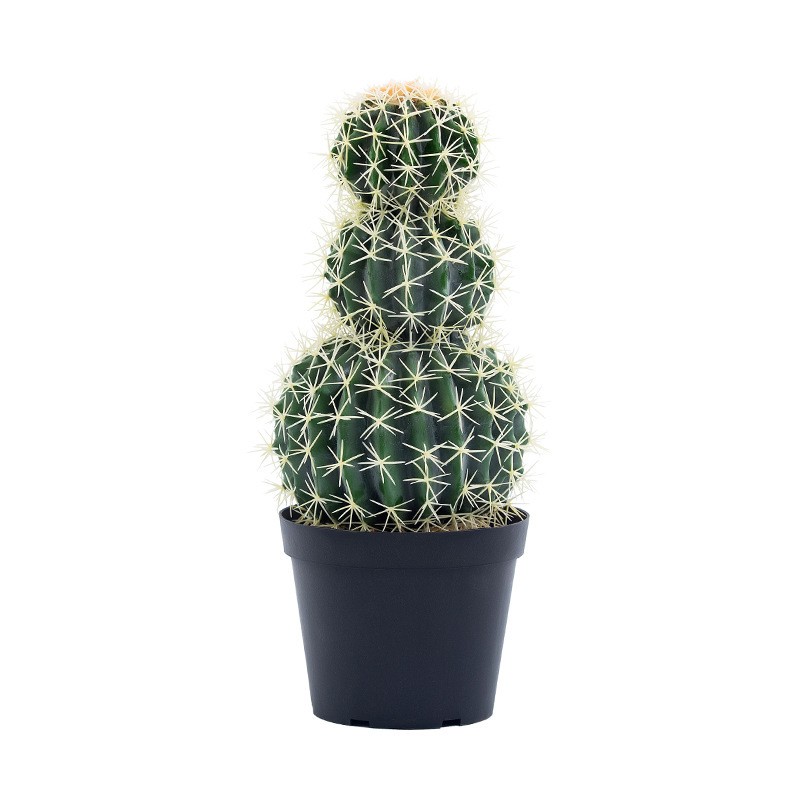 Wysokie wysokiej jakościniestandardowe ozdobne wielkości sztuczne kaktusy sztuczne rośliny kaktusowe