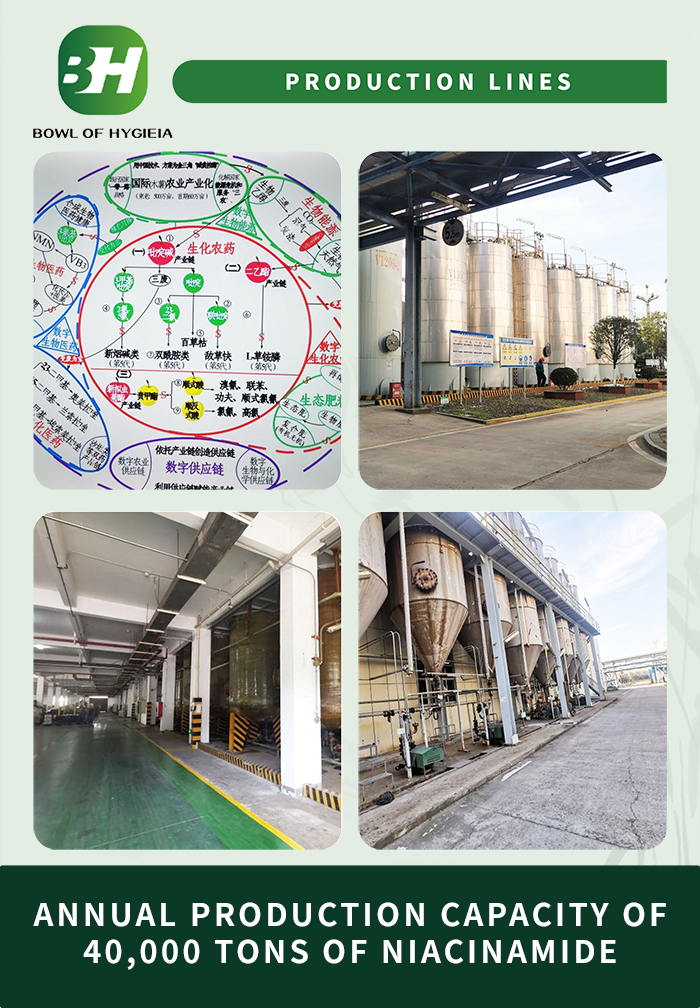 1704265333.jpg 3.jpg